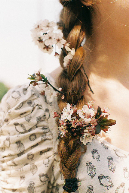 wildstag:  untitled by about anne on Flickr. 