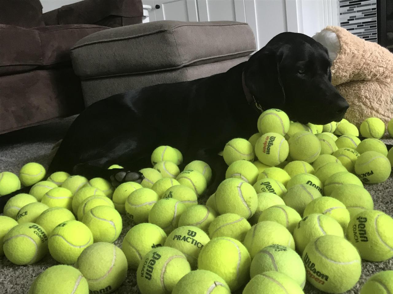 Tennis class ended and we were allowed to take as many balls as we wanted, I grabbed a bunch for stella