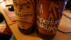 kairaanix:  Today I have something cool. India Pale from one of the best breweries in Poland. In my opinon it’s pretty nice, really bitter but tasty.  This on the left side is spelt beer with honey. Haven’t tried that yet, but I will definitely today.