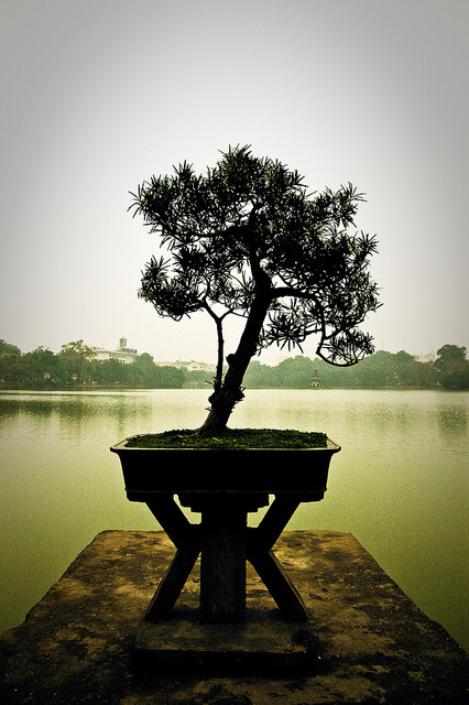 Hoan Kiem Lake By Matthew Wilkinson