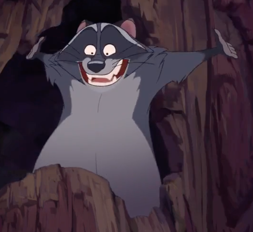 curritos:things that are important: the raccoon from brother bear 2
