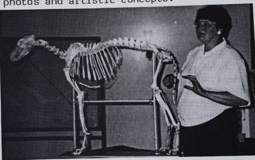 doghistorian: Borzoi skeleton Audrey Mulligan of Birchwood giving a talk on structure at one of the 