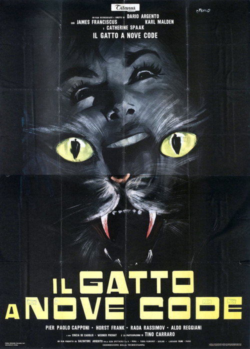 The Cat o’ Nine Tails (1971). Italian poster by P. Frahlo.