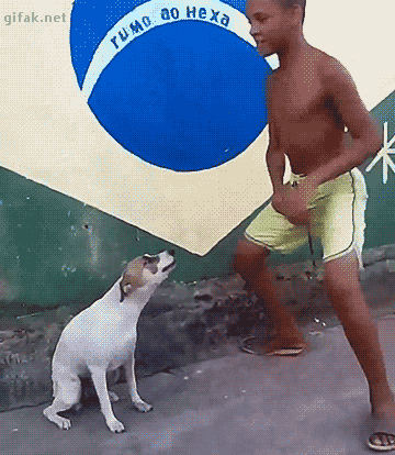 league-of-bi:  shorthammertime:  threadedvolley:   @axe-me-darius  are you serious 