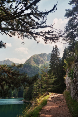 eartheld:  ata-raxie:  Durmitor National