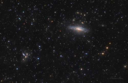 Galaxies in Pegasus. Image Credit & Copyright: Robert Eder