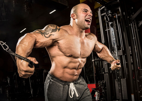 IFBB Pro Jon DelarosaAthlete Profile