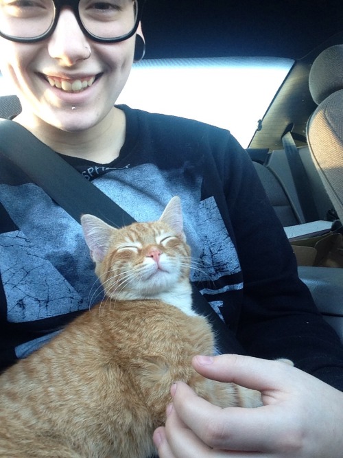 somekindofhelicoptervalentine:  cr-est:  He yelled at me until we adopted him  that is the happiest looking cat ever 