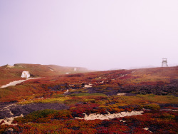 definitelydope:  Ammo bunkers in morning fog. Fort Ord Dunes State Beach, CA (by m. wriston) 