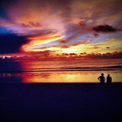 wanderingdesire:  #sunsetsandsinghas #ilovethailand #todayipettedatiger #thatsabigkitty