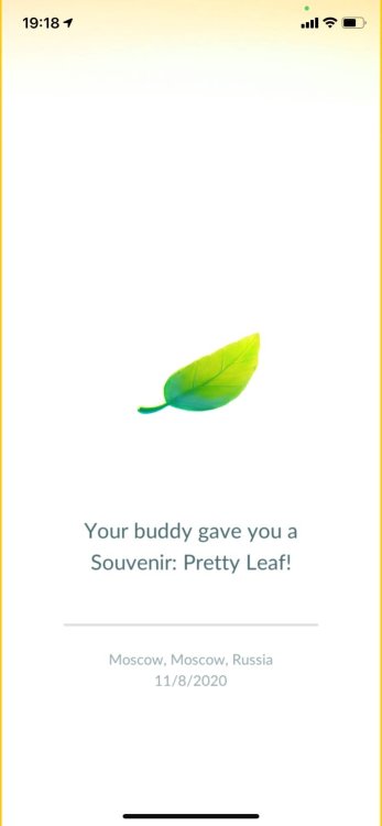  ruby gave me a pretty leaf she found today T__T <333