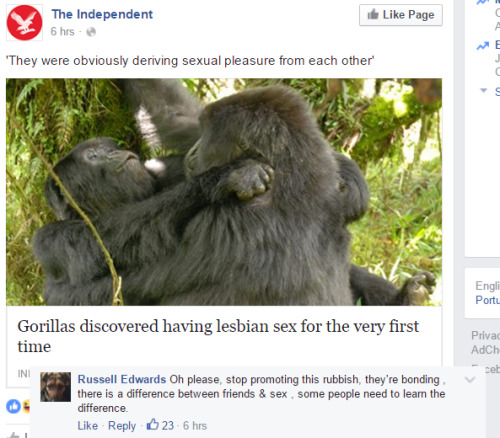 bogleech:alpacalypse:gorillas just being gal pals. not gay! just gorilla gal palsRussel’s in denial 