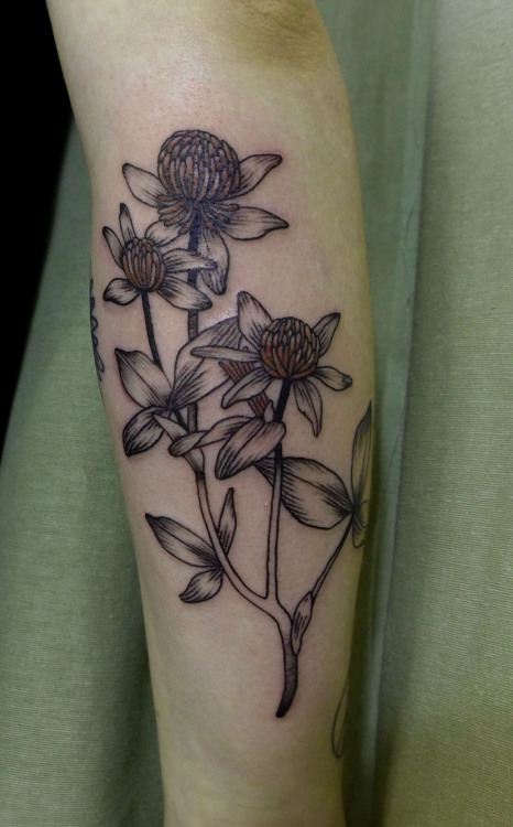 plant tattoo