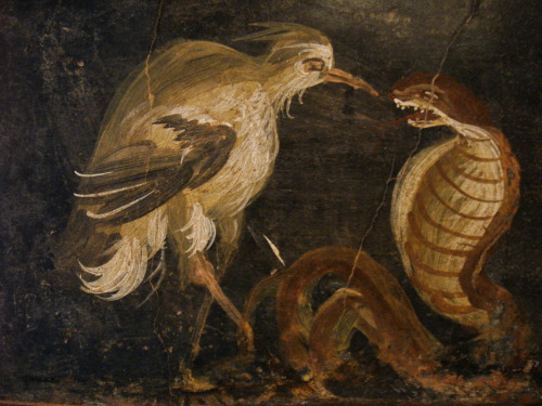 lionofchaeronea:A heron and a cobra.  Fresco in the Fourth Style from triclinium K of the Casa degli