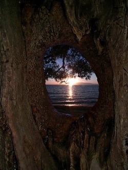 vanessaaguiare:  Sunset