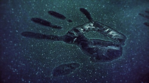 xurvos: I left handprints in the frost on my moms car and the water froze and its just so damn cool 