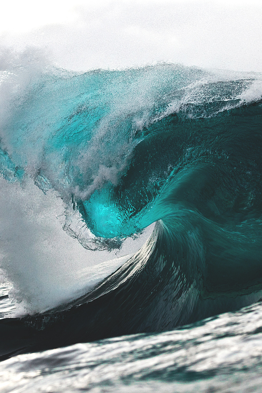 wavemotions:  Megalodon