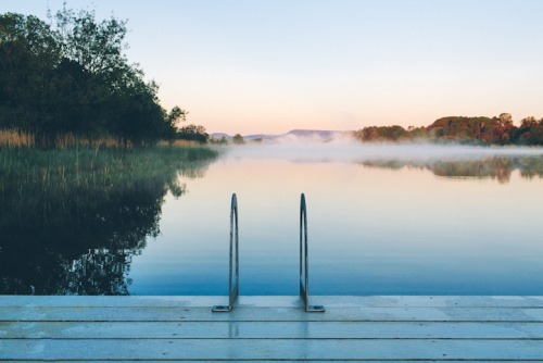 mymodernmet:  Stunningly picturesque moments captured by photographer Finn Beales. 