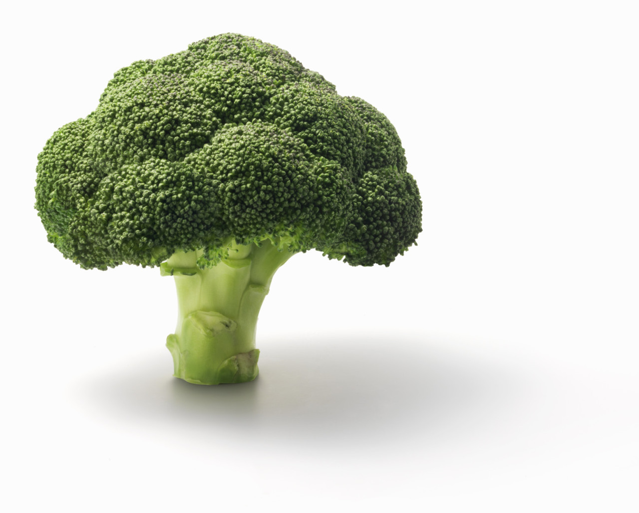 dominantlife:  This tight little piece of vegetable slut is obviously desperate for