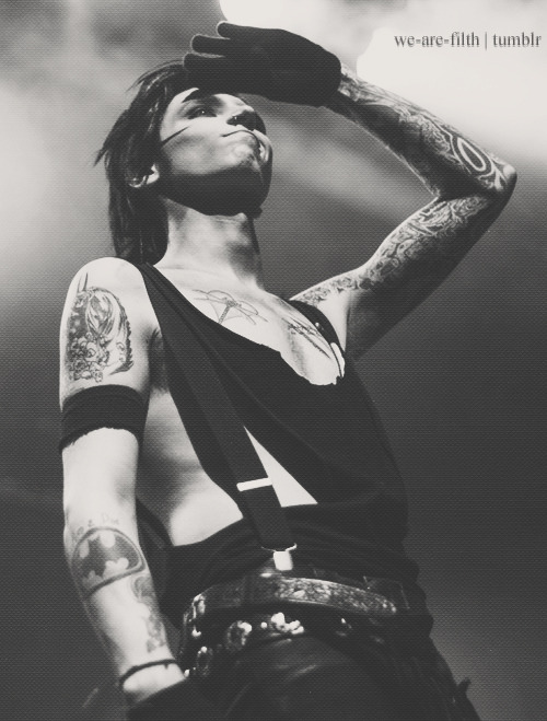 We are The Wild Ones
