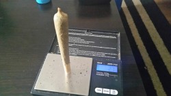 apt-420:Fat ass joint, no rollers 