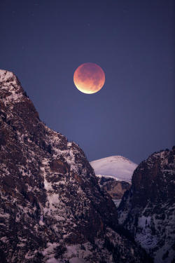 predati0n:  Lunar Eclipse Over Grand Tetons