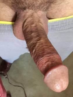 verguitahot:  Un rico caliente hernan