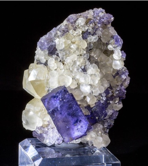 mineraliety:  Fluorite on Calcite from Illinois via @greenstone_fine_mineralia //////https://www.instagram.com/greenstone_fine_mineraliahttps://www.instagram.com/mineraliety