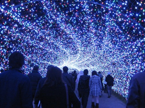 asylum-art:Nabana no Sato : Amazing Light Tunnel Made of Millions of LEDs in JapanThe Japanese once 