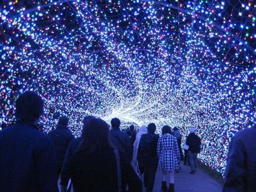 comfortably-lobotomized:  cubebreaker:  Japan’s Nabana no Sato Botanical Garden used over 7,000,000 LED lights to create this amazing tribute to nature featuring displays of rainbows, auroras, and Mt. Fuji.  whoa.. 