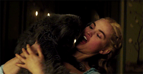 lilyjamessource:Just what… Yes, what do you think you’re up to, Lucifer? Jacqueline is my guest, and