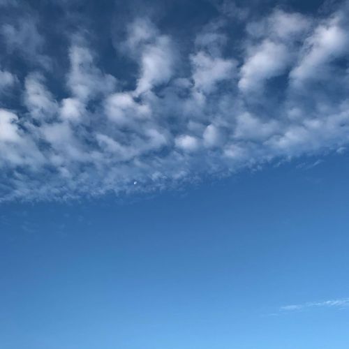 GREGGE NEL CIELO DI NOVEMBRE #lageografiadellenuvole #segnievidenti #dodicilettere #marketingterritoriale