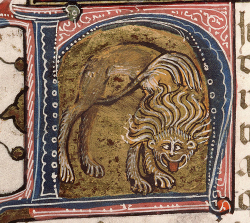 geralby: historyisntboring: Lion making a silly face in an illuminated initial of the Decretum Grati