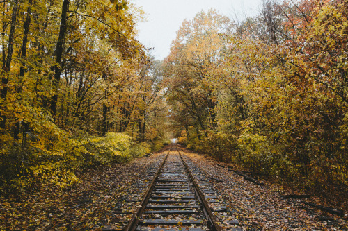 On the hunt for fall foliage around Great Bay