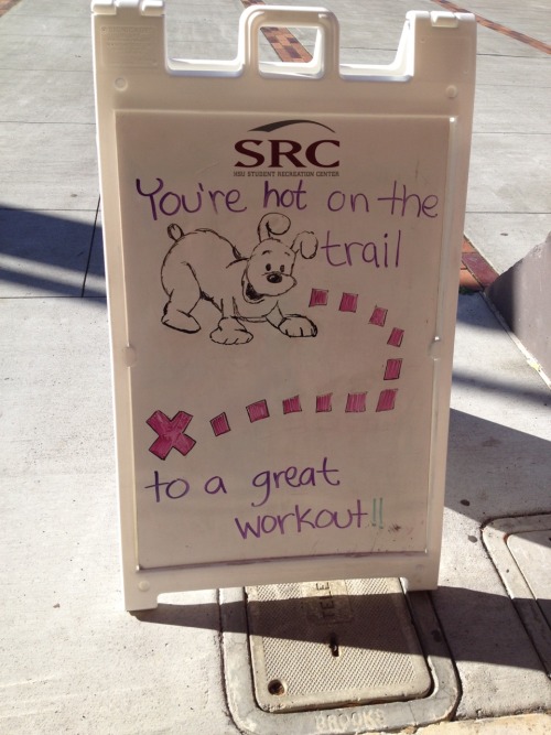 eatcleantrainharder:So there’s a guy at my gym who draws these on a weekly basis and I don’t want it to stop Part 4