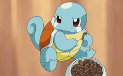 jorgee7:  Squirtle <3