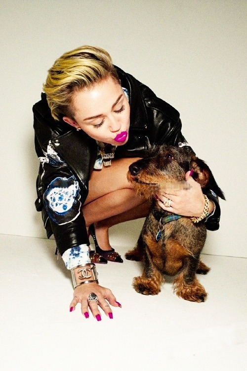 Miley Cyrus Tumblr_nmt9c1TapK1sdqxkuo1_500