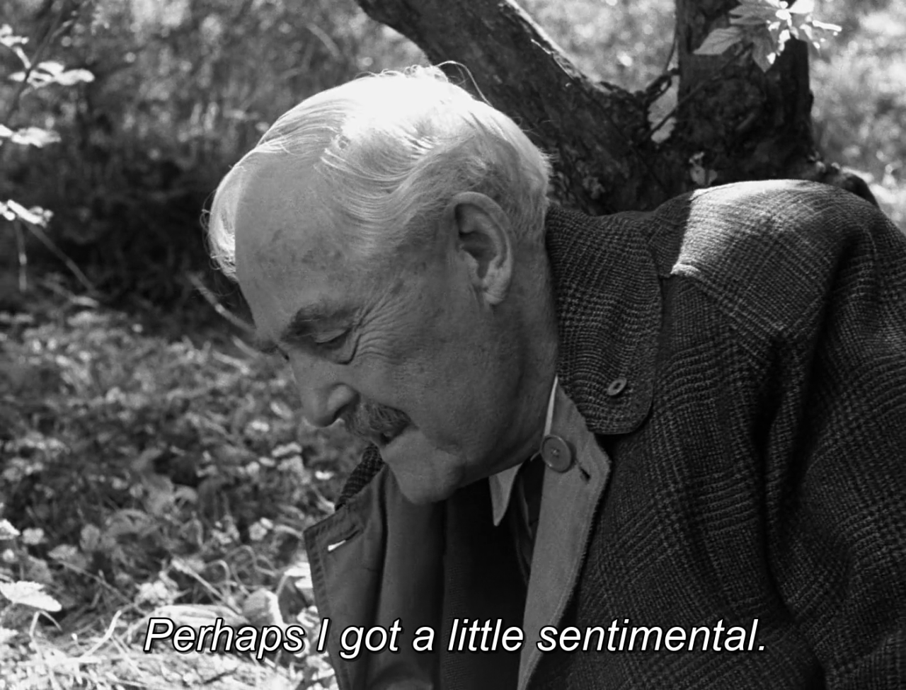 timotaychalamet: Wild Strawberries (1957) dir. Ingmar Bergman