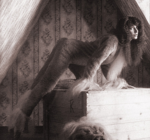 vintageruminance:Kate Bush - Lionheart shoot, 1978