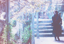 andrewserkis:  Fan Challenge: Two of Ten Relationships: Aragorn and Arwen  “…And