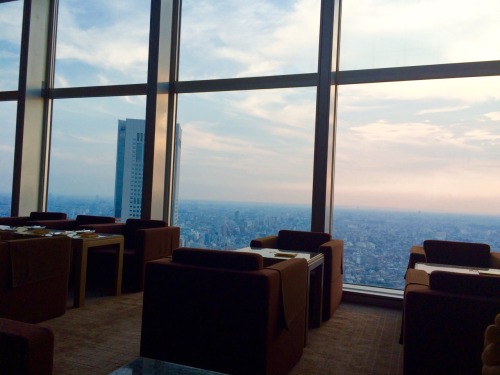 squeezedimsum:  Park Hyatt. Always been a dream thanks to Sofia