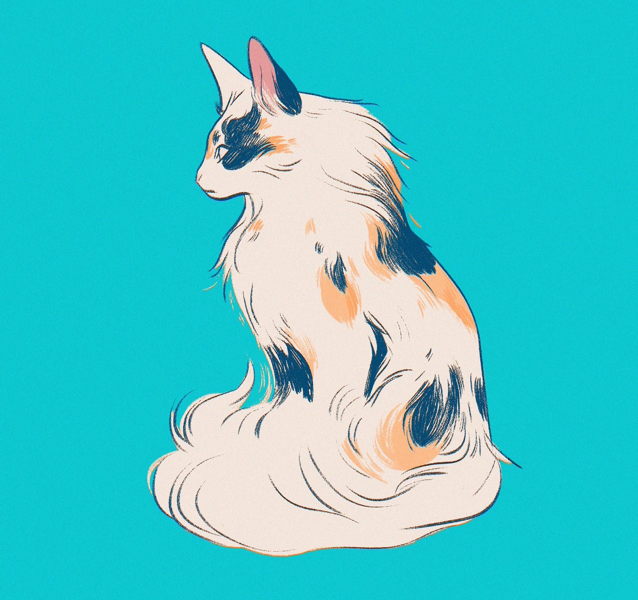 leareymauzaize: calico cat