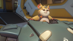 iamtheaardvark:  Why are none of us talking about the fact that this chubby little science hamster is fully wearing a harness