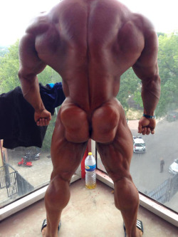 instagasm:  Pumped, shredded, and ready to