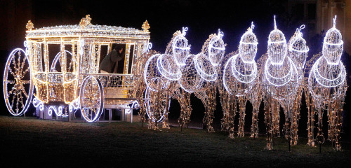 Sex Bright nights (Christmas display at Wilanow pictures