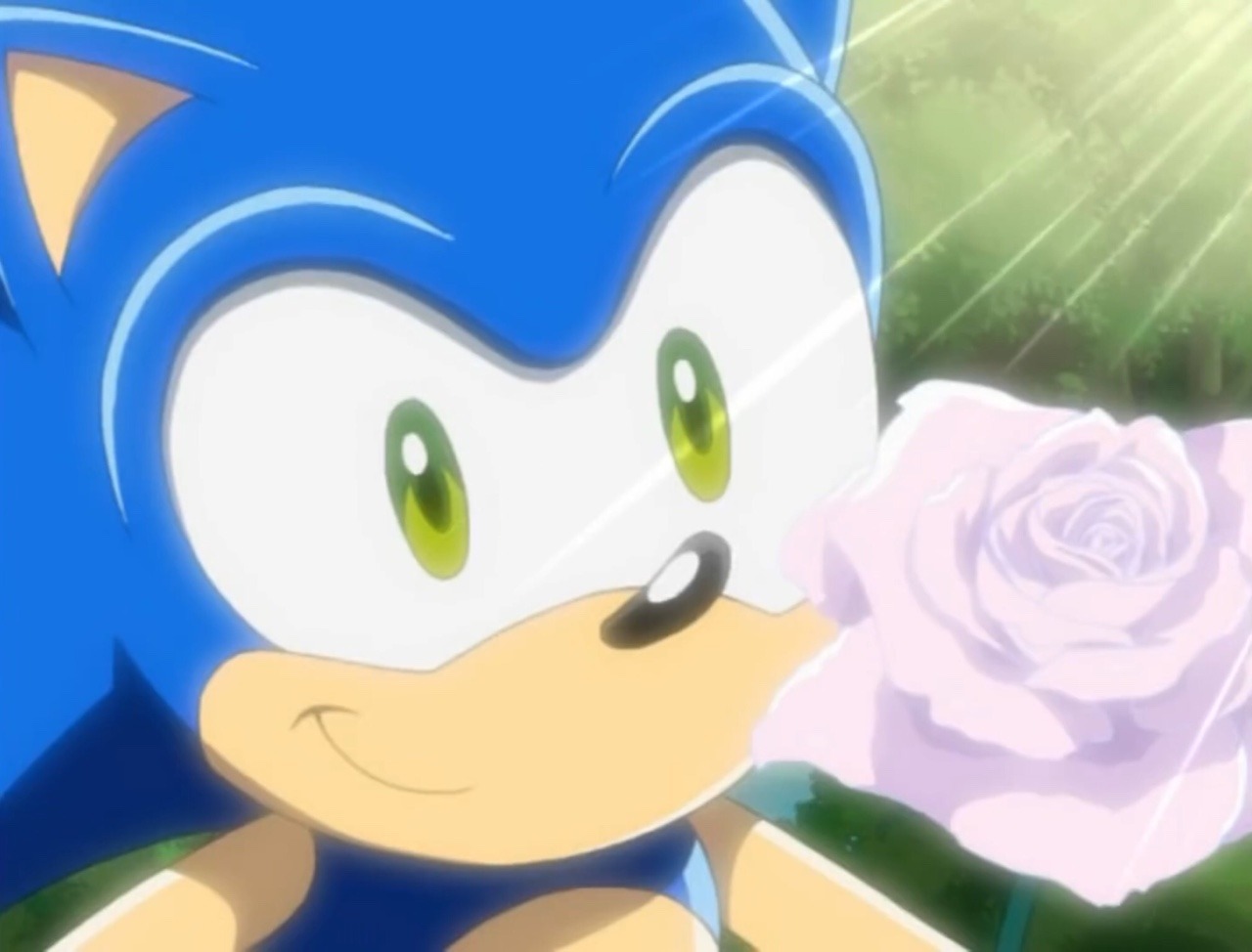 Sonic giving flowers to Amy  Sonic and amy, Hedgehog movie, Sonic