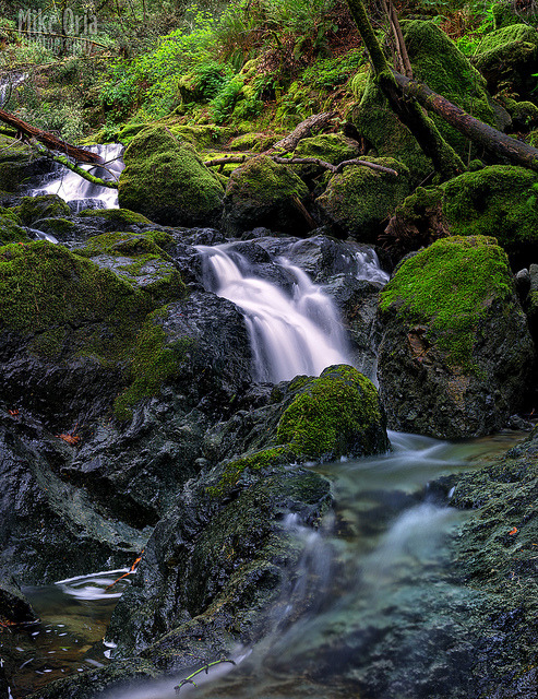 Cataract Falls by mikeSF_ on Flickr.