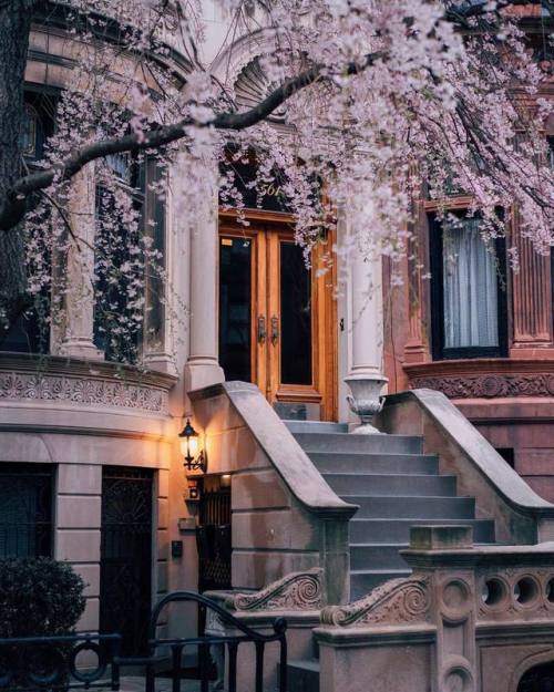 floralls:Springtime in NYC by Joe Thomas