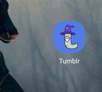 Tumblr media