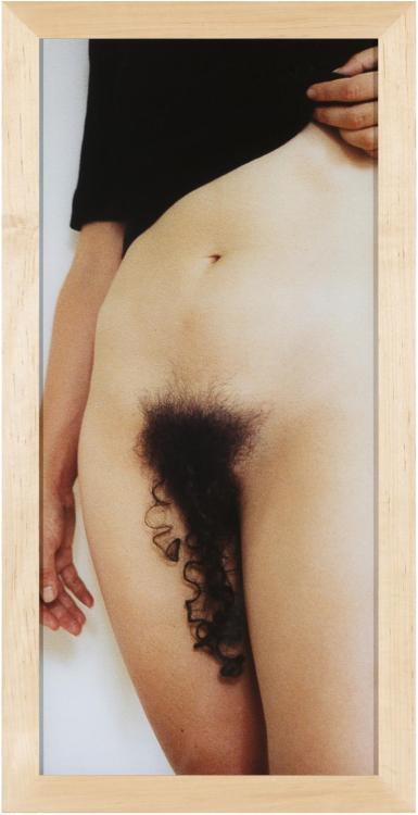 canforasoap:Jeanne Dunning (American, born 1960), The extra hair 2, 1994. MCA Chicago